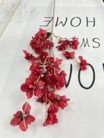 f54e88d1-5a5d-11f0-891b-246e9611e8f7-1