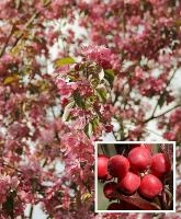 14465c9f-2fe2-11f0-8918-246e9611e8f6-1