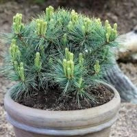 eaa55400-e684-11ee-890a-246e9611e8f5-1