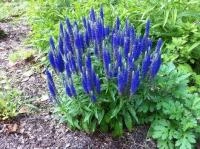 d15f3a84-20e2-11f0-8918-246e9611e8f6-1