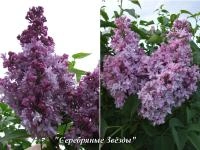 72333b76-326f-11f0-8918-246e9611e8f6-1