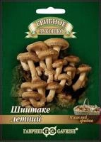 37ae5783-06a4-11e1-9f75-00500454e615-1