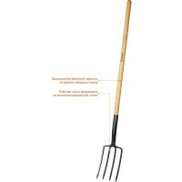 ae17a810-c339-11ed-ae56-001e673ebdea-1