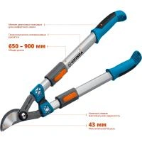 4737d950-c327-11ed-ae56-001e673ebdea-1