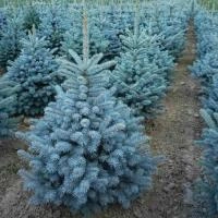 f70b285e-2bcc-11f0-8918-246e9611e8f6-1