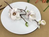 8c93ef58-5a46-11f0-891b-246e9611e8f7-1