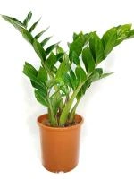 171e2476-7d62-11ee-ae0a-001e673ebdea-1