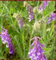 61e97cfe-e453-11e6-bb6f-001e673ebdea-1