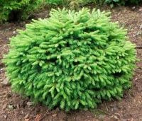 08ef8cf4-358f-11f0-8918-246e9611e8f6-1