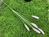 559c2156-5a4f-11f0-891b-246e9611e8f7-1