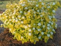 6a3e1f24-26e6-11ee-a711-001e673ebdea-1