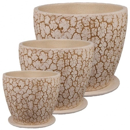 fe27fce3-f46c-11ed-88b6-001e673ebdea-1 fe27fce3-f46c-11ed-88b6-001e673ebdea-1