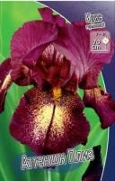 a657959e-45c9-11f0-8919-246e9611e8f7-1