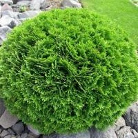 9205ef76-dc28-11ed-97e3-001e673ebdea-1