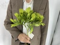 86dbb179-5a69-11f0-891b-246e9611e8f7-1