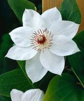 cac97460-fff6-11ef-8915-246e9611e8f5-1