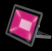 888db368-c261-11ed-ae56-001e673ebdea-1