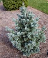 b1ecdcc0-c1e1-11ef-8915-246e9611e8f5-1