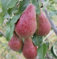 45d5b1f0-29c3-11f0-8918-246e9611e8f6-1