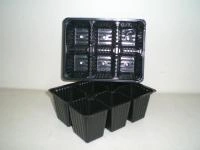 09542aae-0a8f-11e1-bf45-00500454e615-1