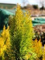 b9d2c011-5955-11ef-8910-246e9611e8f6-1