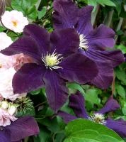 3e7b1018-fff3-11ef-8915-246e9611e8f5-1