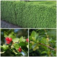 a209348d-55ad-11f0-891a-246e9611e8f6-1