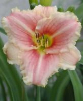 b09c8c3a-000f-11f0-8915-246e9611e8f5-1