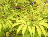 ed9d4b18-112f-11f0-8918-246e9611e8f6-1