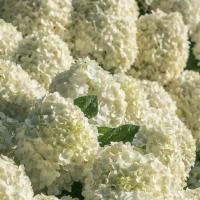 3c504126-3d15-11ef-8910-246e9611e8f6-1