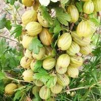 c5664ac4-c097-11ec-9a28-005056c00008-1