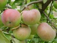 10128b75-2f0c-11f0-8918-246e9611e8f6-1 10128b75-2f0c-11f0-8918-246e9611e8f6-1