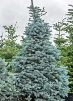 596e5483-661a-11ed-bd4c-001e673ebdea-1