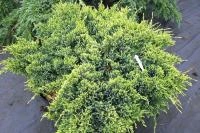 a7a16ab1-fc1a-11ee-890b-246e9611e8f5-1