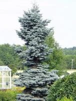 0f25a51b-c118-11ef-8915-246e9611e8f5-1