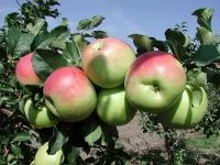 709a2834-2fdf-11f0-8918-246e9611e8f6-1