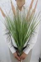 c0330973-5a62-11f0-891b-246e9611e8f7-1