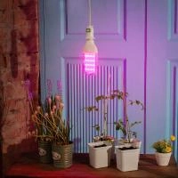 a651788a-acd3-11ed-8508-001e673ebdea-1