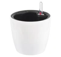 072d3fbb-fc9c-11ee-890b-246e9611e8f5-1