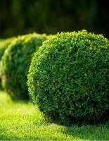 3d9a11d2-1142-11f0-8918-246e9611e8f6-1