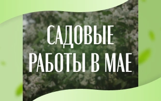 Календарь садовода: майские работы от А до Я Календарь садовода: майские работы от А до Я