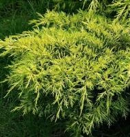 12b0ea2f-1818-11f0-8918-246e9611e8f6-1