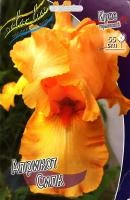 1165ad69-45ca-11f0-8919-246e9611e8f7-1