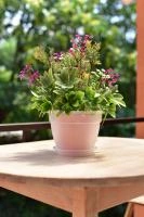 c33ca925-566d-11ed-aea3-001e673ebdea-1 c33ca925-566d-11ed-aea3-001e673ebdea-1