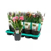 8b3db1e8-b69c-11ee-9f80-001e673ebdea-1