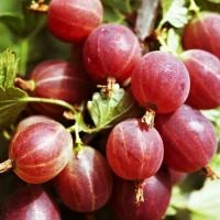 42dc79c3-1b88-11f0-8918-246e9611e8f6-1