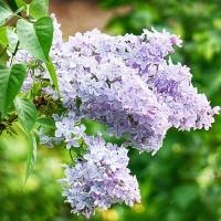 01ea8b11-0369-11ee-88b6-001e673ebdea-1