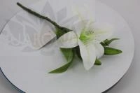 14a793b8-f2b0-11ef-8915-246e9611e8f5-1