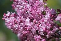 ed242c9d-2f8e-11ef-890e-246e9611e8f7-1