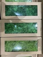 300e3105-9cf1-11ef-8912-246e9611e8f7-1